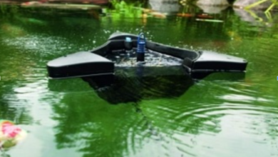 Cleaner Ponds: How to Maintain a Clear, Healthy, and Beautiful Pond Year-Round